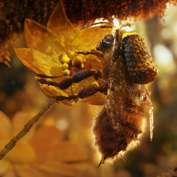 Pixar's RenderMan | Resource | Honey Bee